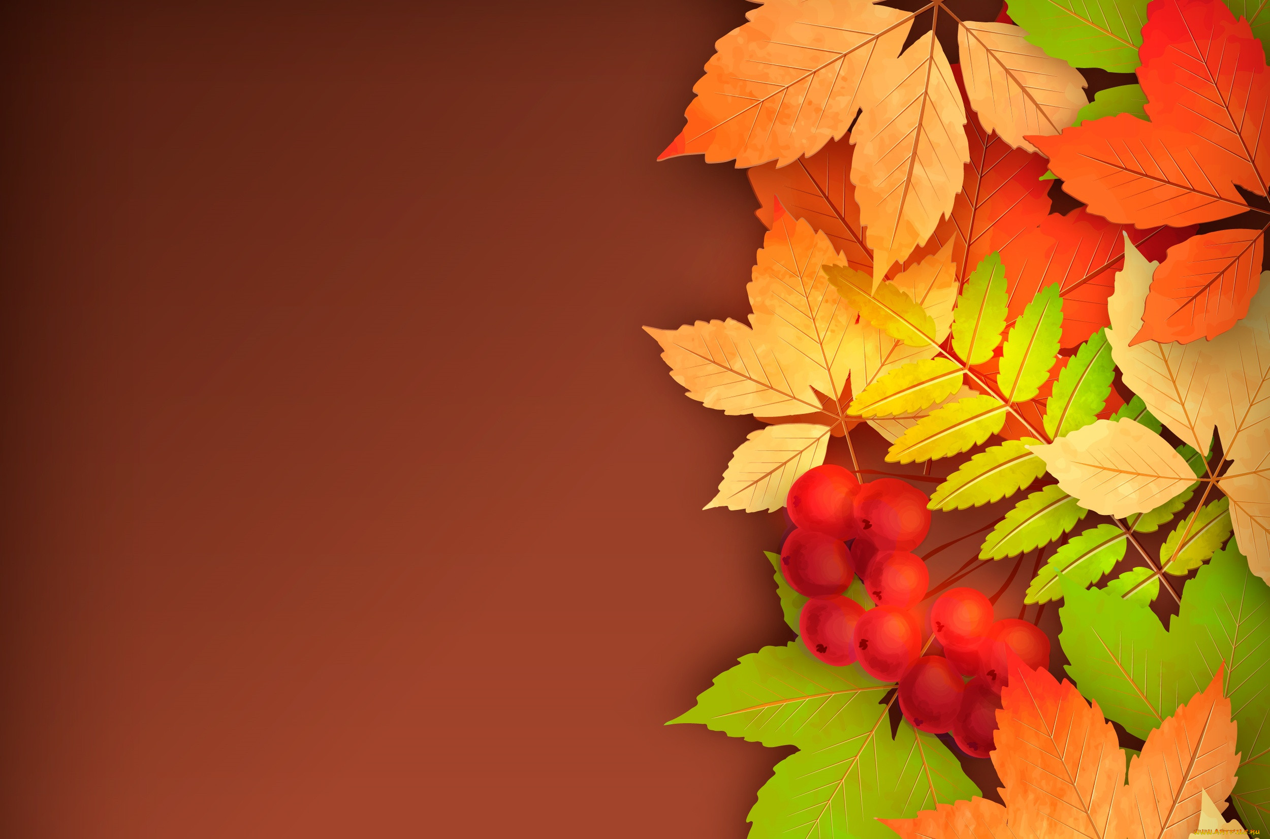  ,  , nature, , , 